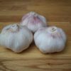 Roasted garlic heads