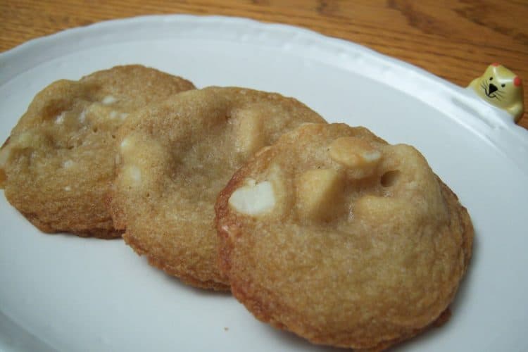 White Chocolate Macadamia Nut Cookies on small oval plate with small cat head