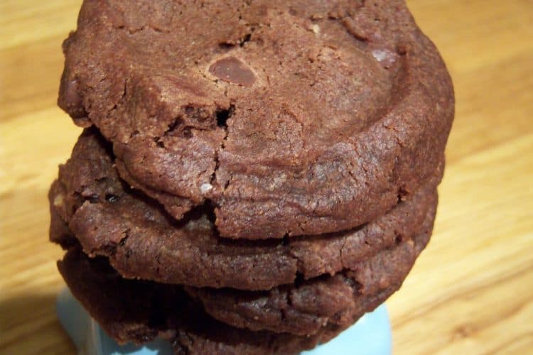 World peace cookies chocolate cookies on small blue dish