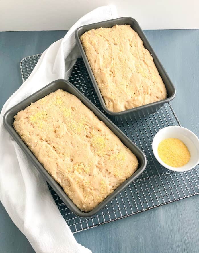 The EASIEST English Muffin Bread – Amy's Delicious Mess