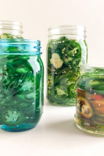Sliced jalapenos and smashed garlic in mason jars, two clear quart, one blue pint jar, and one clear small jar. Pickling liquid in jars.