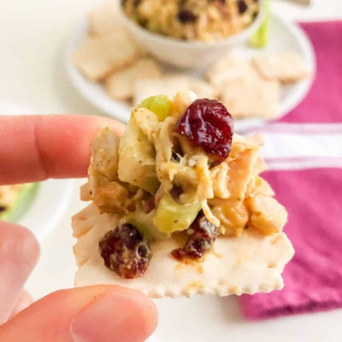 Hand holding cracker with chicken salad.  Additional chicken salad in the background in a small bowl on a medium plate with additional crackers and celery sticks next to pink kitchen towel with white accents.